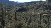 PICTURES/Rogers Trough Trail/t_Winding Road Up to HIke.JPG